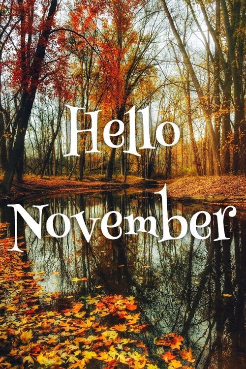 Hello November 13