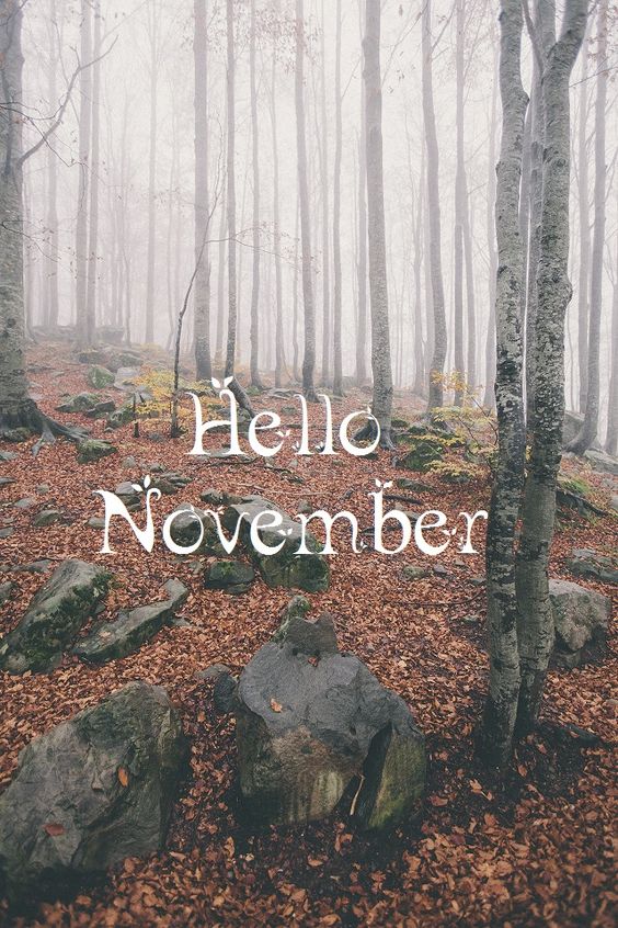 Hello November 4