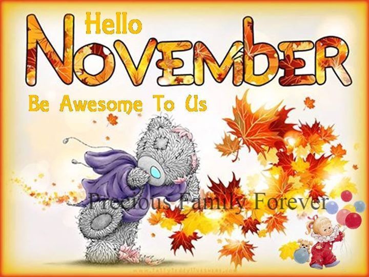 Hello November 8