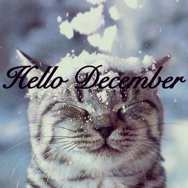 Hello December Cool and Inspirational Status With Images - CWS
