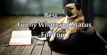 Funny Whatsapp Status Short Funny Quotes